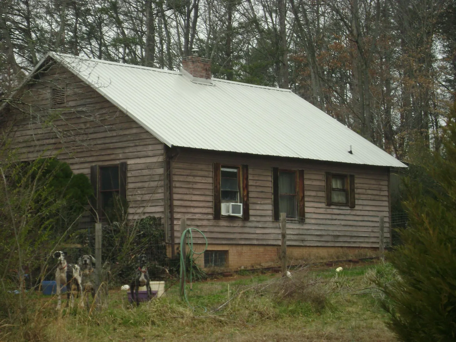 White metal roof on an old wood sided farmhouse, from a Metal Roof Installation job in Badger